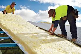 Best Soundproof Insulation  in Cannon Falls, MN