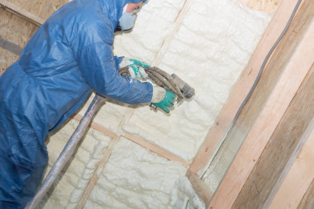 Types of Insulation We Offer in Cannon Falls, MN