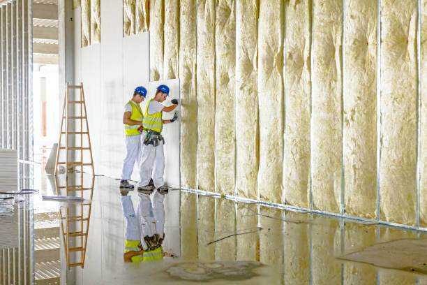 Insulation Air Sealing in Cannon Falls, MN